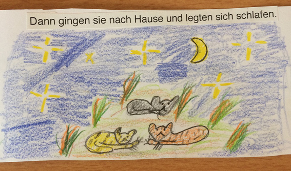 Dschungel 5