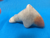 Delfin