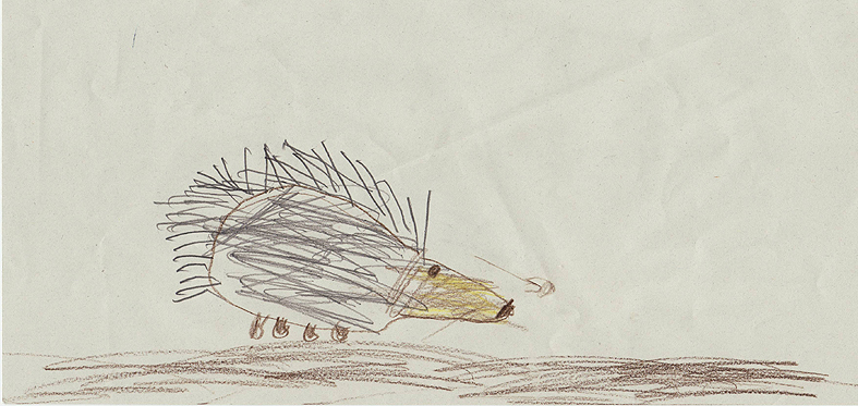 Igel=